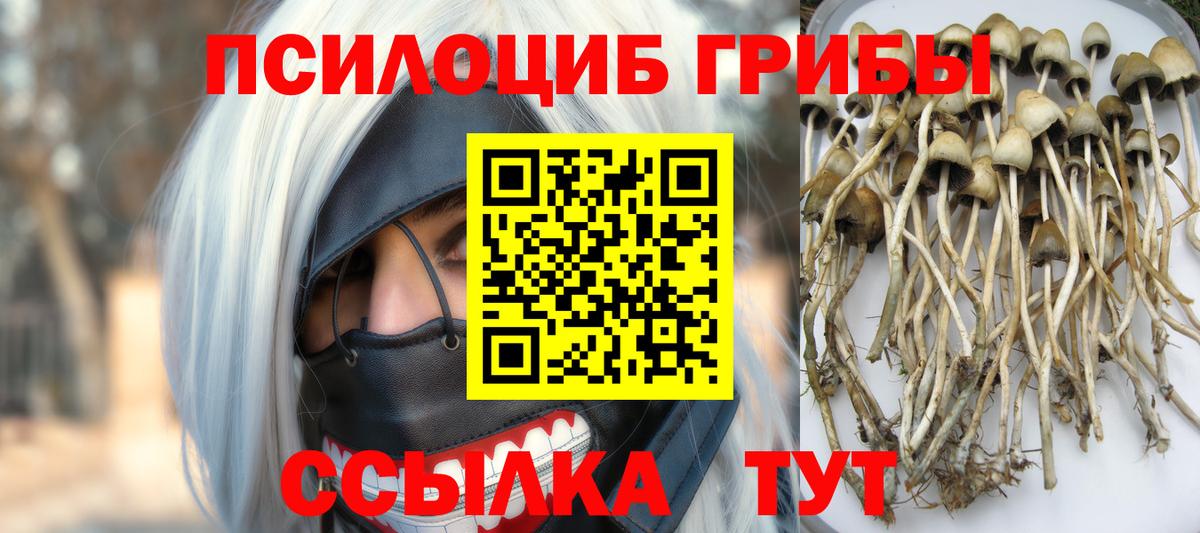Псилоцибиновые грибы мухоморы  Вход с VPN  Ульяновск 